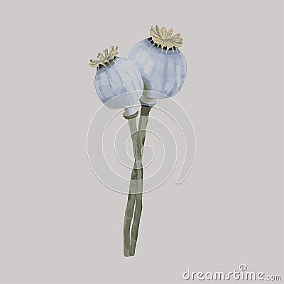 poppies blue flower watercolor digital Cartoon Illustration