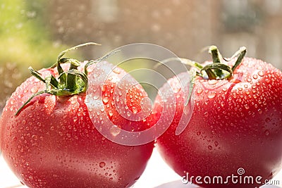 Two tomatoes Stock Photo