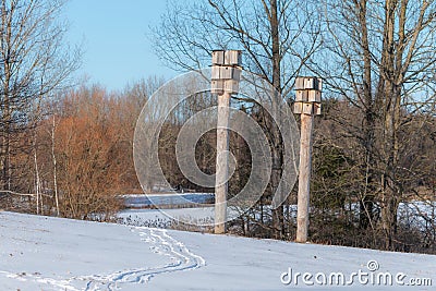 Two towers with multiple birds houses at winter season day time Stock Photo