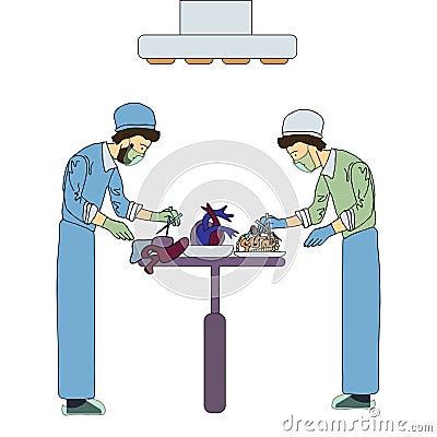 Two transplant surgeons work with organs for transplantation. Medical vector illustration, isolated on white. Vector Illustration