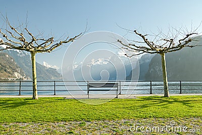 Two trees and bench in small park in Brunnen, Switzerland Stock Photo