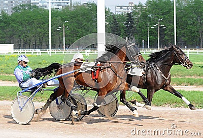 Two trotter on the move at speeds Editorial Stock Photo