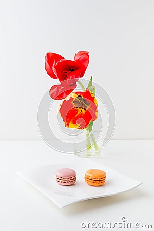 Two tulip flowers and two macaroon cookies. Stock Photo