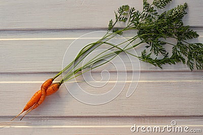 Two ugly carrots together on a white wooden background Stock Photo