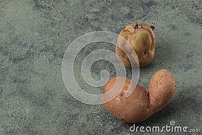 Two ugly potatoes on a dark background. Funny vegetables Stock Photo