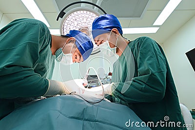 Two veterinarian doctor working in operating room Editorial Stock Photo