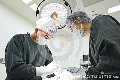 Two veterinarian surgeons in operating room Editorial Stock Photo