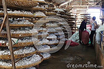 Two Vietnamese women work at a silk factory warehouse. Da Lat, Vietnam Editorial Stock Photo