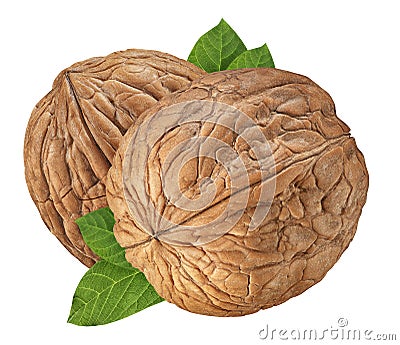 Walnut isolated closeup on white background with clipping path. Nut macro. Walnuts with leaf as package design element collection Stock Photo