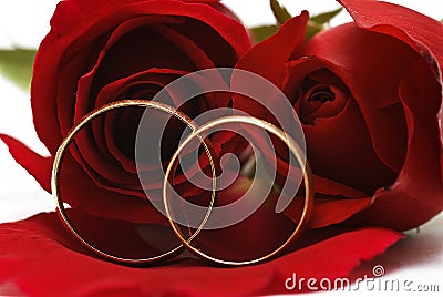 Two wedding rings and a red roses. Stock Photo