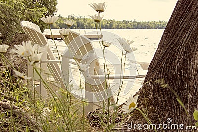 Two white chairs by the lake with daises behind Stock Photo