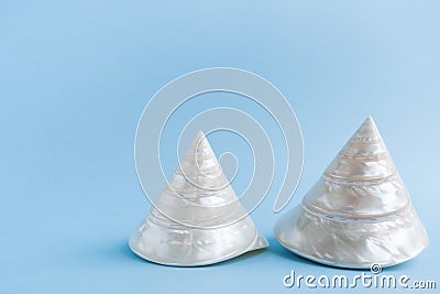 Two white conical pointed mother-of-pearl seashells on light blu Stock Photo