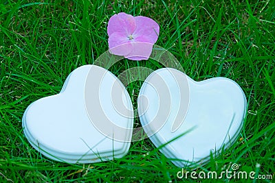 Two white glossy porcelain hearts and a flower on green grass; Summer. Wedding card; A love note. Copy space Stock Photo
