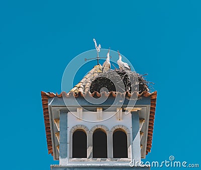 Two White Storks nesting on a Bell Tower in Algarve, Portugal Stock Photo