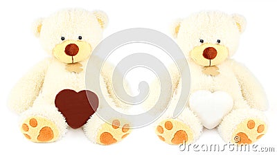 Two white teddy bears and two honey-cakes Stock Photo