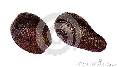 Two whole dark colored brown ripe brown avocados, ripe avocado fruit ready to eat, objects isolated on white background, cut out, Stock Photo