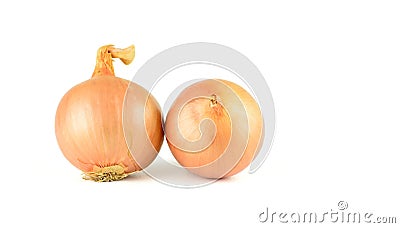 Two whole onions Stock Photo