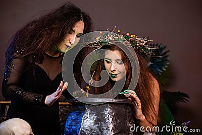 Two witches with tousled hair brew a potion in a cauldron with rats, halloween concept Stock Photo
