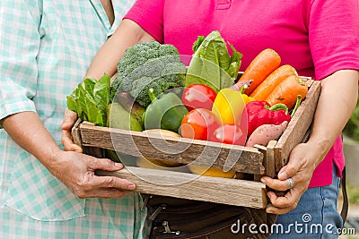 Two woman are carry Homemade fresh organic vegetable full in wooden box ready to delivery Stock Photo