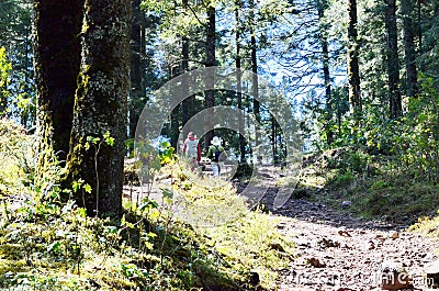 Two women hiking to the Sierra Chincua Monarch Butterfly Sanctuary Editorial Stock Photo