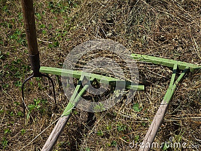 Two wood rakes and pitch forks Stock Photo