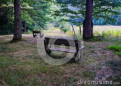 Two Wooden Benches by an Open Field Stock Photo