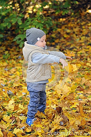 Two years old boy standing on falling autumn leaves Stock Photo