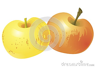 Two yellow apples isolated on white background. Vector Illustration Stock Photo