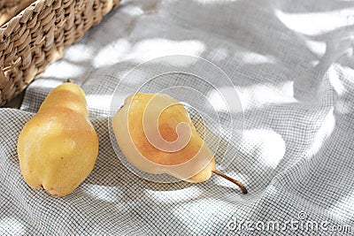 Two yellow barlett pears Stock Photo