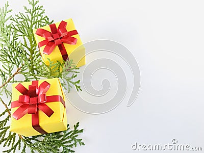 Two Yellow gift box with red ribbon on white background with arborvitae branches aside. Stock Photo