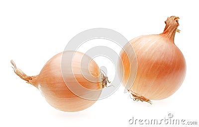 Two yellow onion bulbs Stock Photo