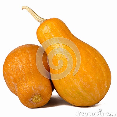 Two yellow pumpkins Stock Photo