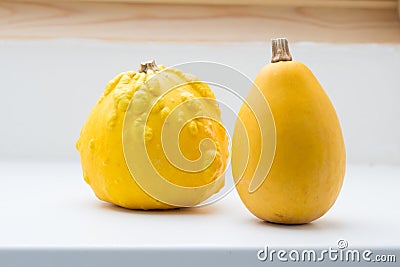 Two yellow pumpkins Stock Photo