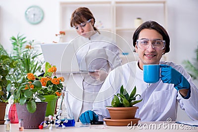 The the two young botanist working in the lab Stock Photo