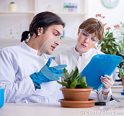 Two young botanist working in the lab Stock Photo