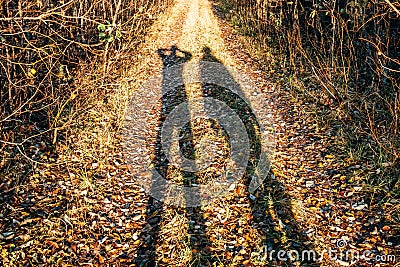 Two young people`s silhouette standing on the forest road Stock Photo