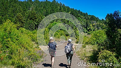 Two women hiking in the forest Editorial Stock Photo