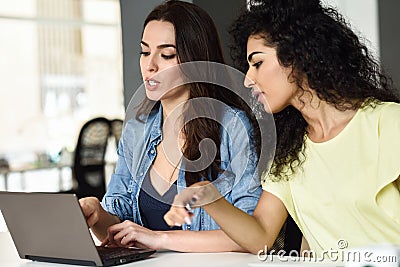 Two young women studying with a laptop computer. Stock Photo