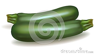 Two zucchini. Vector Illustration