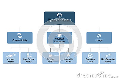 type of assets for convertibility, physical existence, usage for each assets categories Vector Illustration