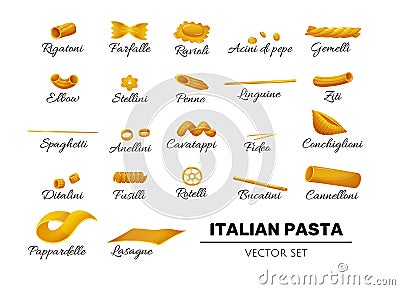 Type of pasta icons, italian set in cartoon style Vector Illustration