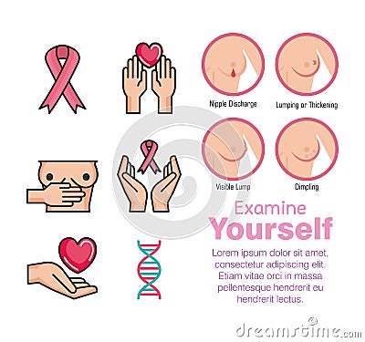 Types of appearances of the breast Vector Illustration