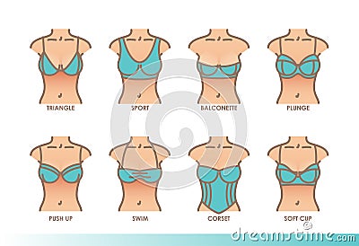 Types of bras. Kinds of bras. Women`s underwear illustration set Cartoon Illustration