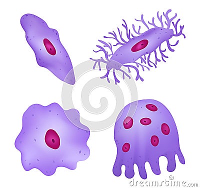 Types of Cells in Bone Vector Illustration