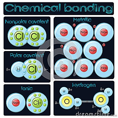 Types of chemical bonding Vector Illustration