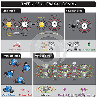 Types of Chemical Bonds Infographic Diagram Vector Illustration