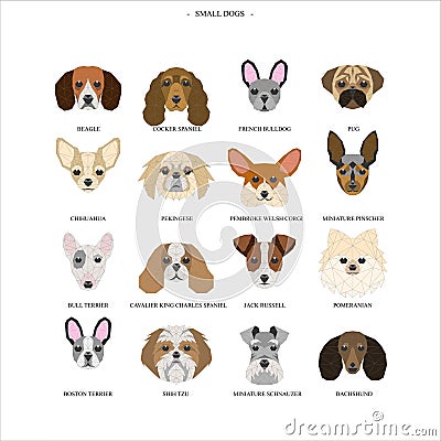 Small Dog Breeds Illustrations Cartoon Illustration