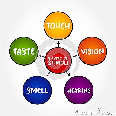 The 5 types of external stimuli - divided into our senses: touch, vision, smell and taste, mind map concept for presentations and Stock Photo