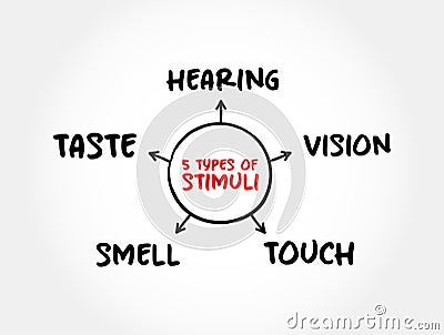 The 5 types of external stimuli - divided into our senses: touch, vision, smell and taste, mind map concept for presentations and Stock Photo