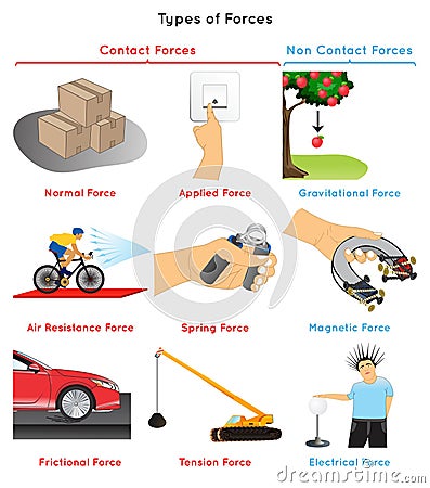 Types of Forces Infographic Diagram Vector Illustration